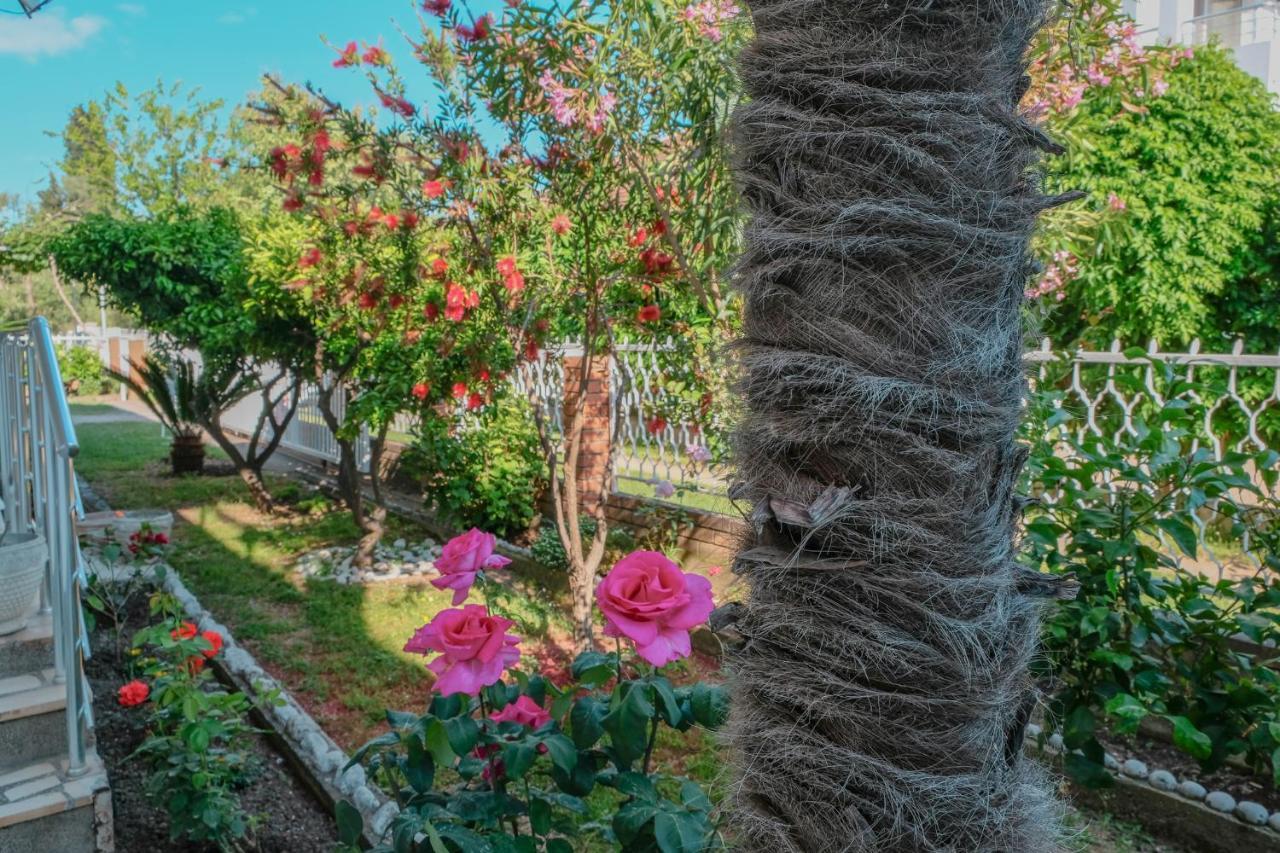 Vila Adriatik ウルツィニ エクステリア 写真